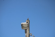Enlarge photo 401