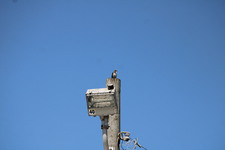Enlarge photo 402
