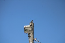 Enlarge photo 403