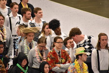 Enlarge photo 201