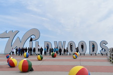 Enlarge photo 142