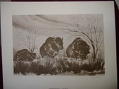 Enlarge photo 77