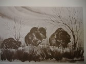 Enlarge photo 78