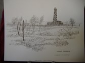 Enlarge photo 80