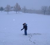 Enlarge photo 44