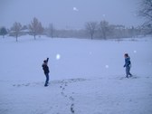 Enlarge photo 52