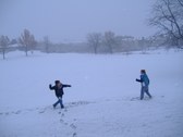 Enlarge photo 54