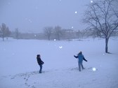Enlarge photo 53