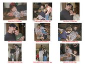 Enlarge photo 41