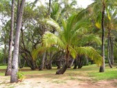 Enlarge photo 47