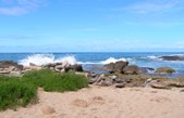 Enlarge photo 50