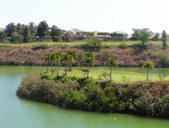 Enlarge photo 182