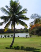 Enlarge photo 179