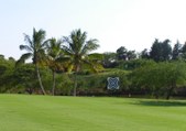 Enlarge photo 177