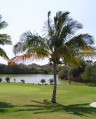 Enlarge photo 178