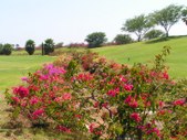 Enlarge photo 185