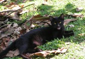 Enlarge photo 168