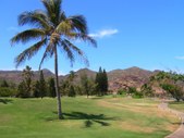 Enlarge photo 160