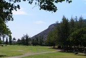 Enlarge photo 155