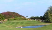 Enlarge photo 153