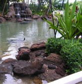 Enlarge photo 33