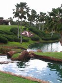 Enlarge photo 92