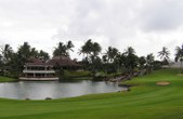 Enlarge photo 84