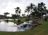 Enlarge photo 87
