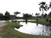 Enlarge photo 86