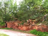 Enlarge photo 78