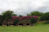 Enlarge photo 63