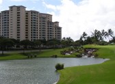 Enlarge photo 59