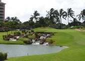 Enlarge photo 55