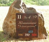 Enlarge photo 148