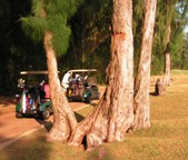 Enlarge photo 147