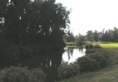 Enlarge photo 146