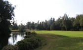 Enlarge photo 145