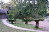 Enlarge photo 140