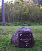 Enlarge photo 139