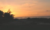 Enlarge photo 130