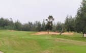 Enlarge photo 121