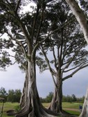 Enlarge photo 108