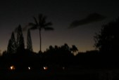 Enlarge photo 105