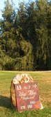 Enlarge photo 142