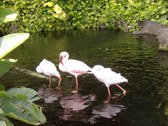 Enlarge photo 26