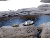 Enlarge photo 27