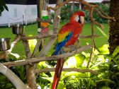 Enlarge photo 47