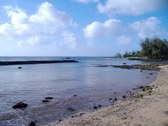 Enlarge photo 49