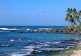 Enlarge photo 51