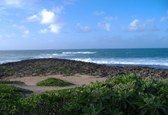 Enlarge photo 57